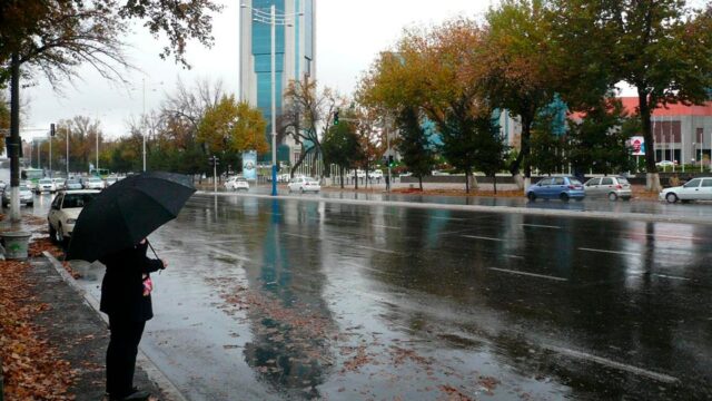 Dam olish kunlari O‘zbekistonda jazirama issiq va kutilmagan yomg‘irlar kuzatiladi