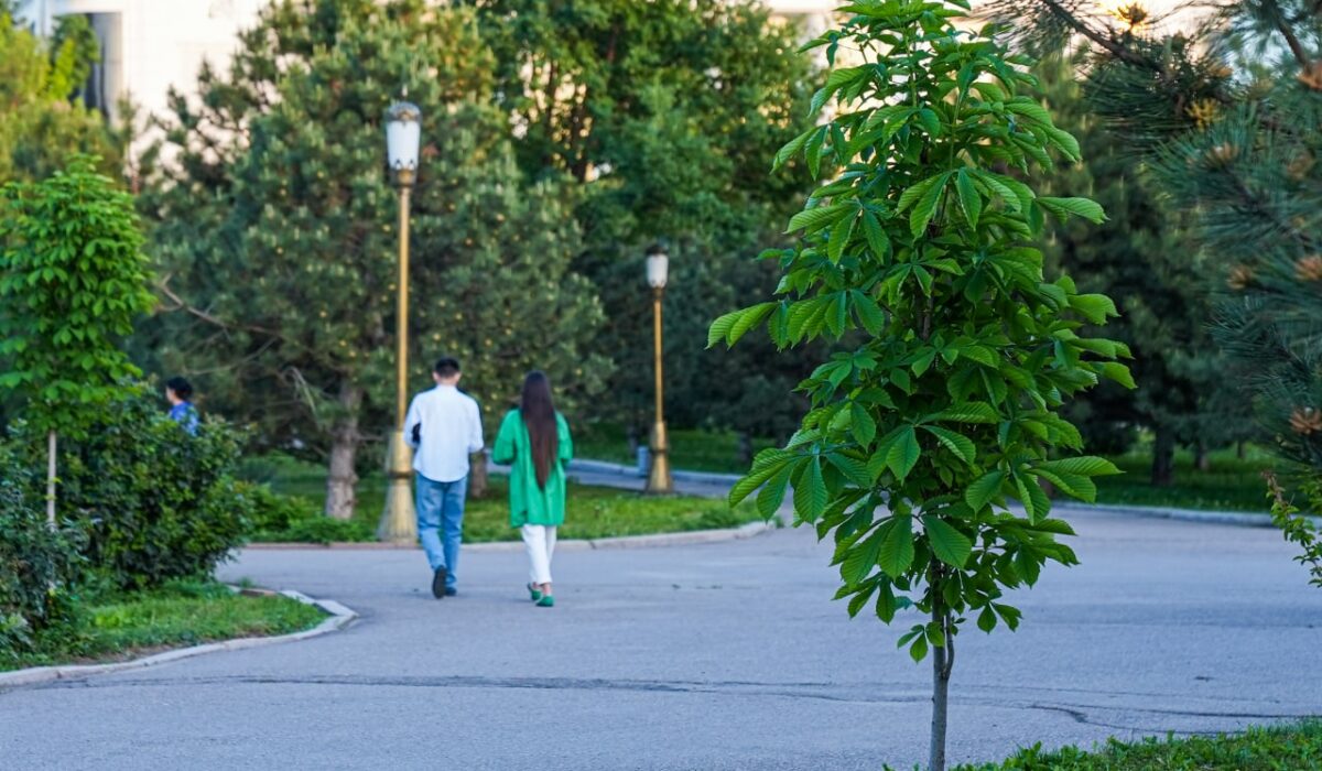 В Узбекистане май 2026 года будет жарче обычного