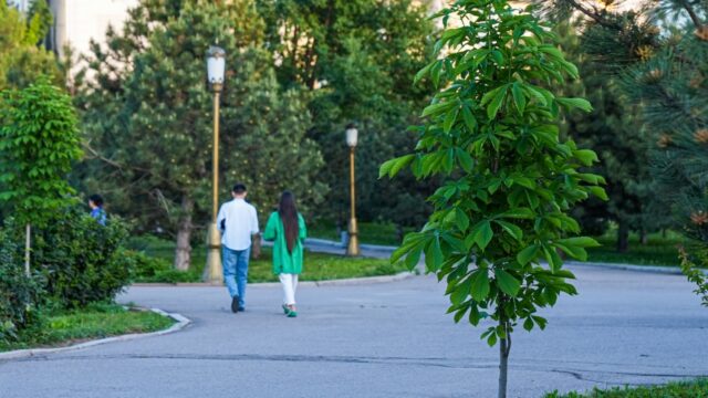 В Узбекистане май 2026 года будет жарче обычного