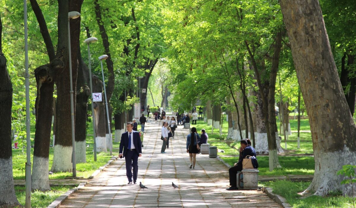 На неделе в Узбекистане потеплеет до +35 градусов — Узгидромет