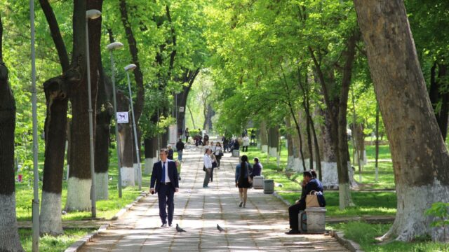 На неделе в Узбекистане потеплеет до +35 градусов — Узгидромет