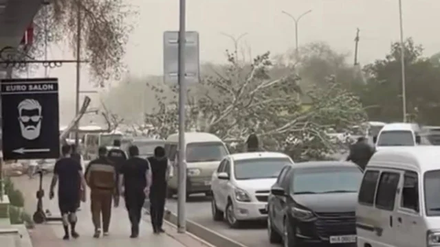 Bugun O‘zbekistonni chang bo‘roni va kuchli shamol bosishi kutilmoqda
