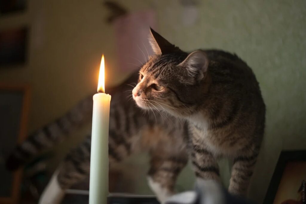 Toshkentda elektr o‘chishi 23-oktabr, Chilonzor va Uchtepa tumanlari